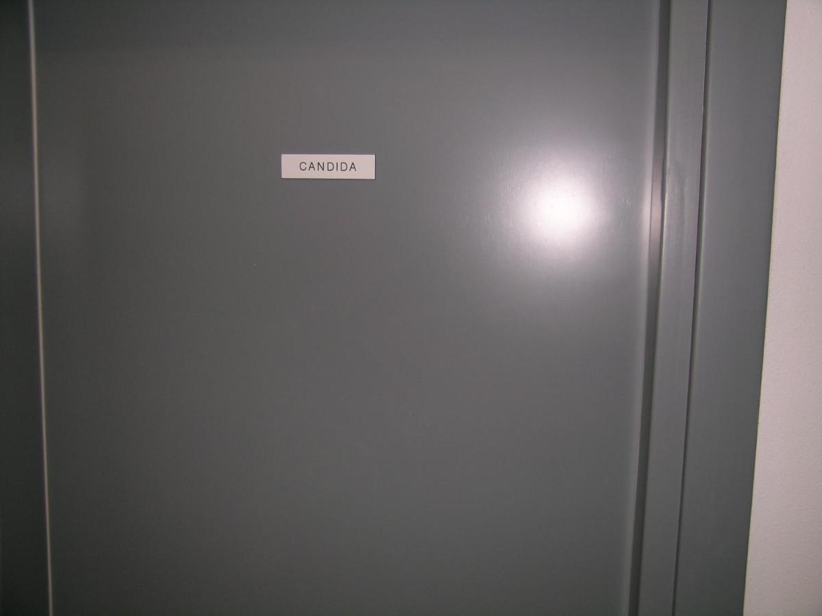Camera Con Bagno Privato Candida La Spezia Eksteriør bilde